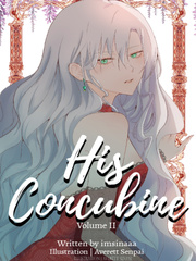 His Concubine Concubine Novel