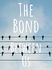 The Bond Between Us Book