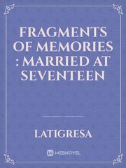 Fragments of Memories : Married at Seventeen Meteor Garden Novel