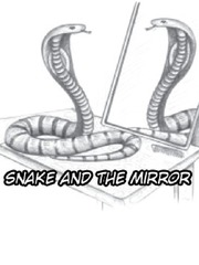 SNAKE AND THE MIRROR Book