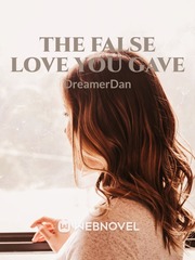 The False Love you Gave Book