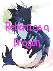 Reborn as a Dragon!? (Completed) Knight's & Magic Novel