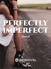 PERFECTLY IMPERFECT Baka And Test Novel
