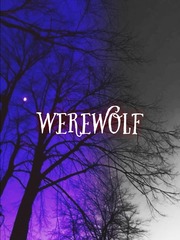 one night werewolf