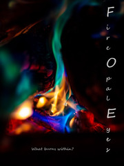 Fire Opal Eyes Opal Novel