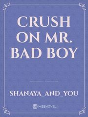 crush on Mr. bad boy Book