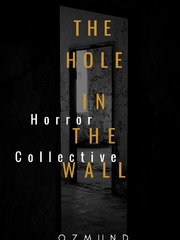 The Hole In The Wall (Horror Collective) Book