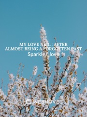 My Love Neil : After almost being a forgotten past Book