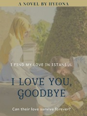 I Love You, Goodbye Istanbul Novel