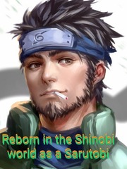 Reborn in the Shinobi World as a Sarutobi Ffx 2 Novel