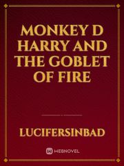 harry potter and the goblet of fire book