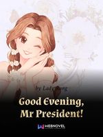 Good Evening, Mr President! Book
