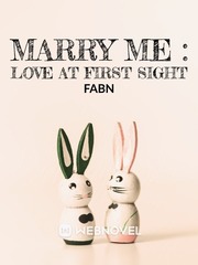 MARRY ME : LOVE AT FIRST SIGHT If Only You Knew Novel