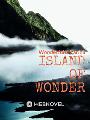 Island of Wonder Sec Novel