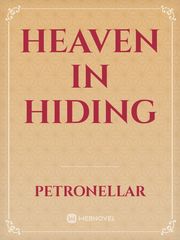 HEAVEN IN HIDING Book