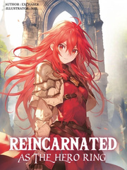 Reincarnated As The Hero Ring Knight Novel