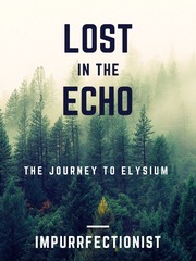 lost in the echo