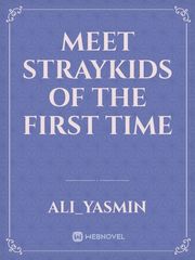 Meet straykids of the first time Book