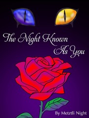 The Night Known As You (BL) Fake Novel