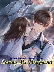 Falling Dreams, Rising Hopes: Saving Mr. Boyfriend Book
