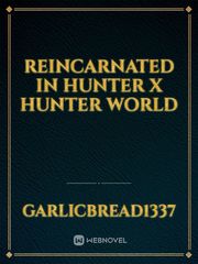 Reincarnated in Hunter X Hunter World Book
