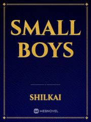 small boys Small Novel