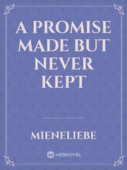 A Promise Made But Never Kept Promise Novel