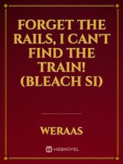 Forget The Rails, I Can't Find The Train! (Bleach SI) Vindictive Novel