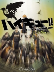 Haikyuu!! The Crows and the Stars Seirei Tsukai No Blade Dance Novel