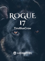 Rogue 17 17 Novel