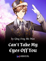 Can't Take My Eyes Off You Mine Novel