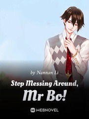 Stop Messing Around, Mr Bo! Book