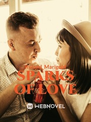 Sparks Of Love Fang Maximum Ride Novel