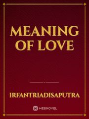 Meaning Of Love Introvert Novel