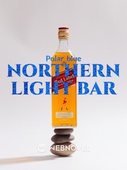 Northern Light Bar (Harry Potter) Book