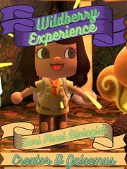 Wildberry Experience Book