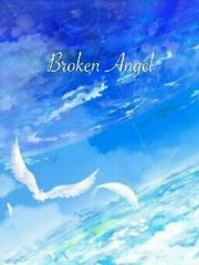 Broken Angel (Fairy Tail Fanfic) Book