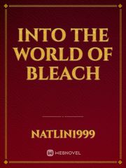 Into the World of Bleach She's Mine Novel
