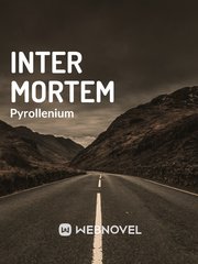 Inter Mortem Twice Novel