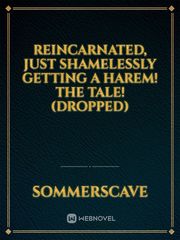 Reincarnated, just shamelessly getting a harem! The Tale! (DROPPED) Erotic Fantasy Novel