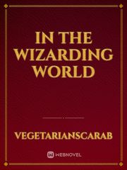 in the wizarding world Translate Novel