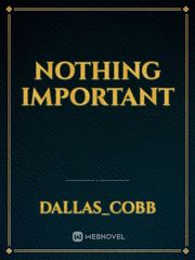 nothing important Important Novel