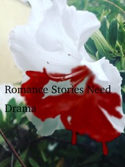 Romance Stories Need Drama Book