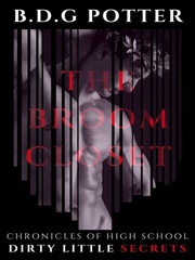 Chronicles of High School Dirty Little Secrets - The Broom Closet Free Erotica Novel