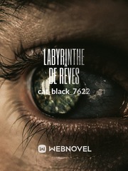 Labyrinthe De Rêves Undercover Novel