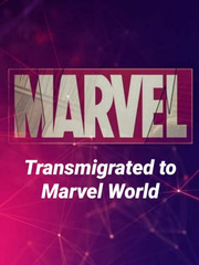 Transmigrated to Marvel World The World God Only Knows Novel
