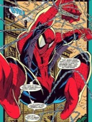 The Spectacular Spider-Man Daredevil Novel