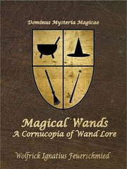 Magical Wands: A Cornucopia of Wand Lore Succubus Novel