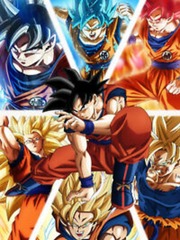 In Dragon Ball with a System Book