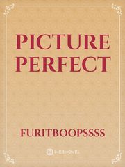 Picture perfect Picture Novel